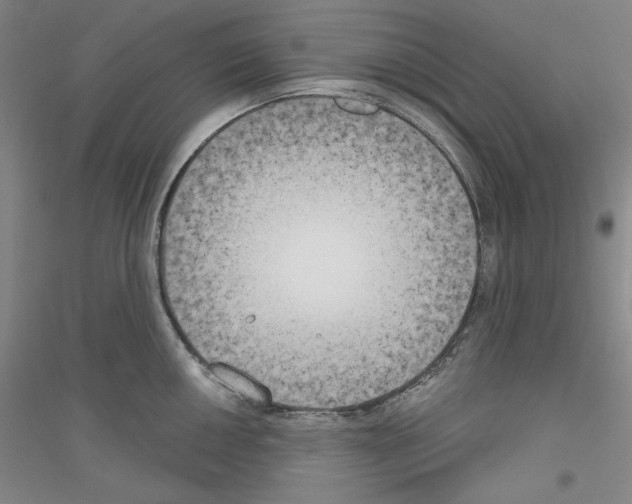 X0000116851050201002021041