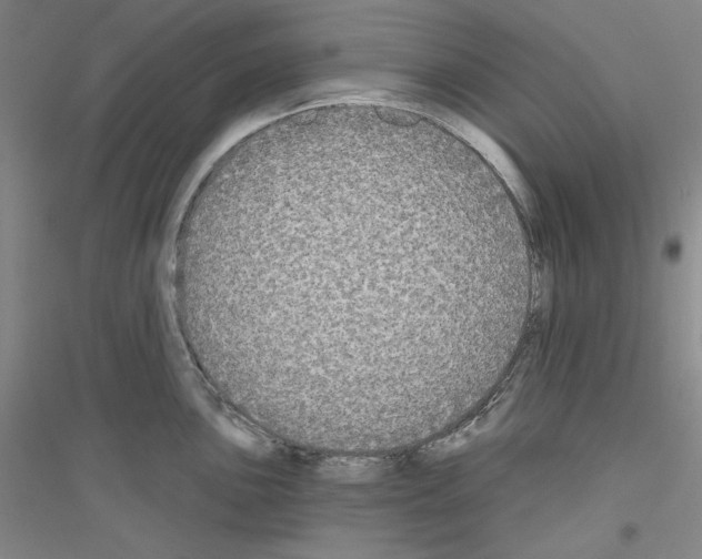 X0000116851051201002021041