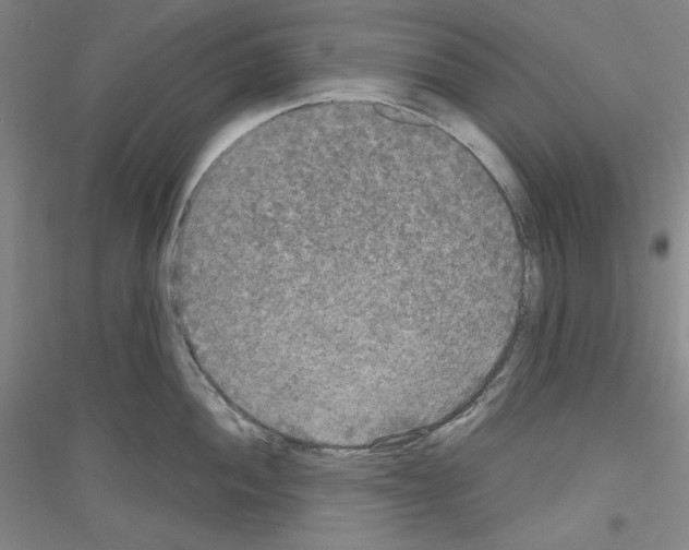 X0000116851052201002021041