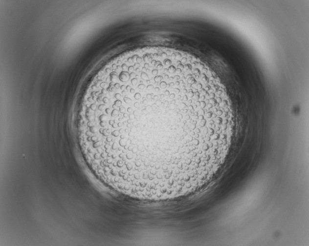 X0000116851054201002021041