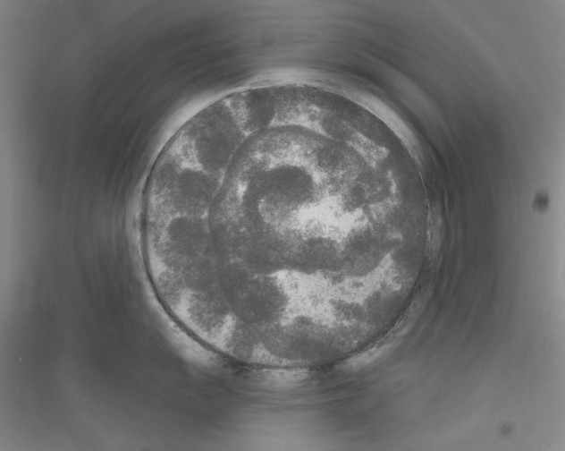 X0000116851055201002021041