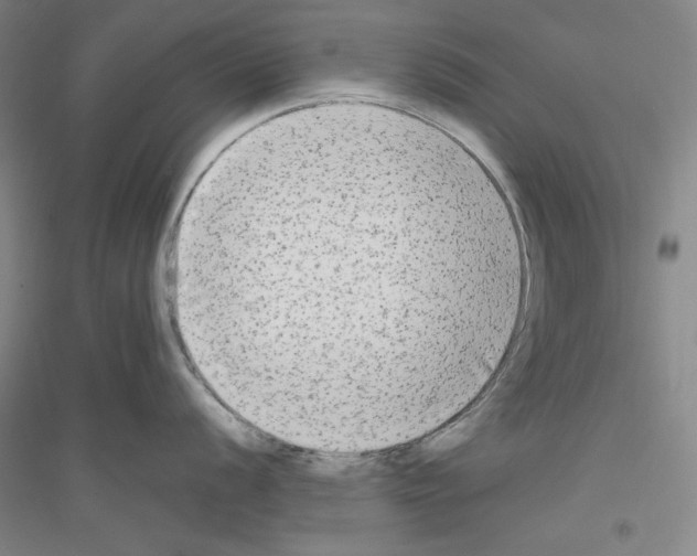 X0000116851056201002021041