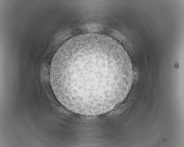 X0000116851058201002021041
