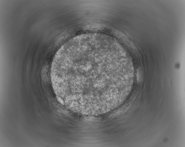 X0000116851059201002021041