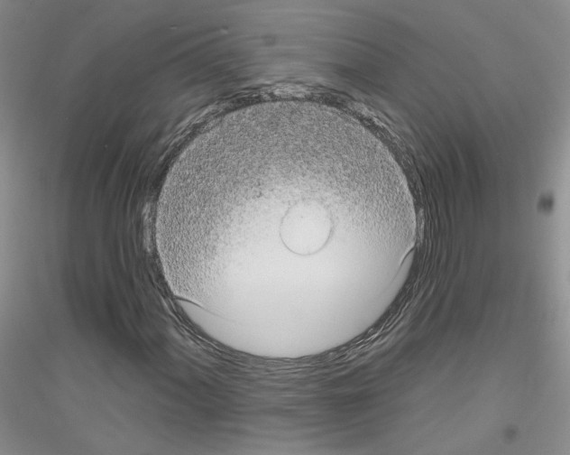 X0000116851060201002021040