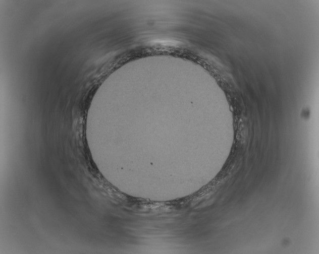 X0000116851061201002021040