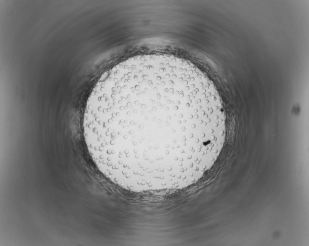 X0000116851062201002021040