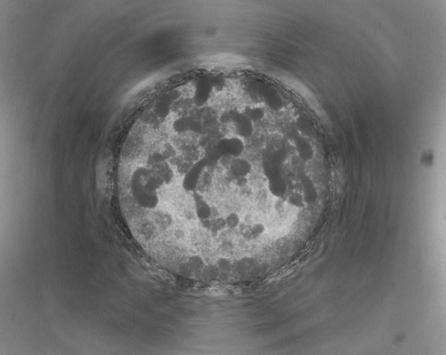 X0000116851063201002021040