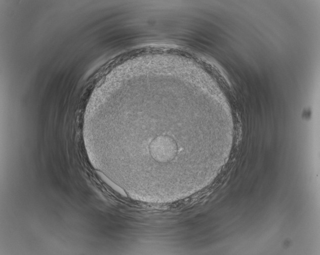 X0000116851064201002021040
