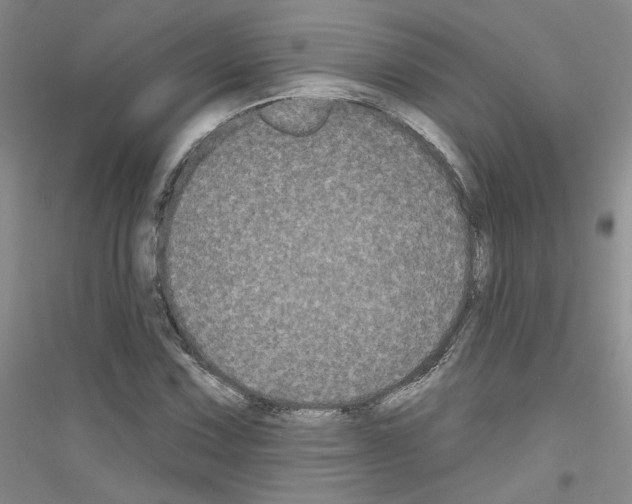 X0000116851067201002021040