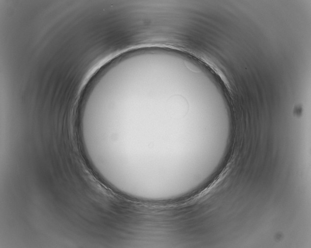 X0000116851069201002021040