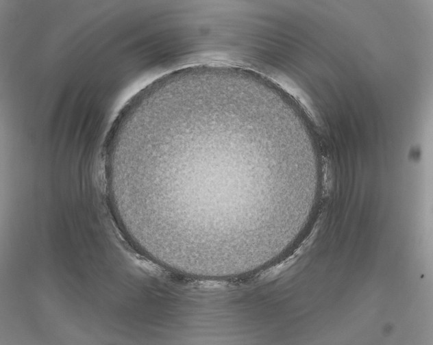 X0000116851070201002021040