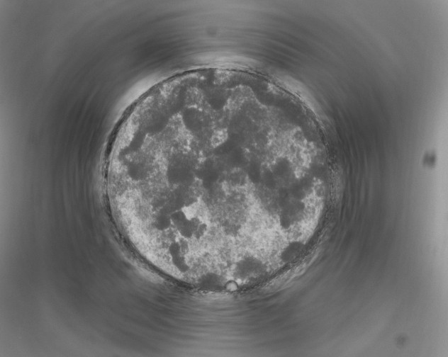 X0000116851071201002021040