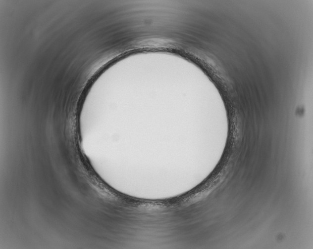 X0000116851073201002021040