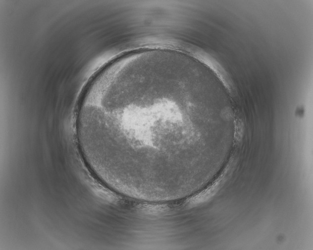 X0000116851074201002021040