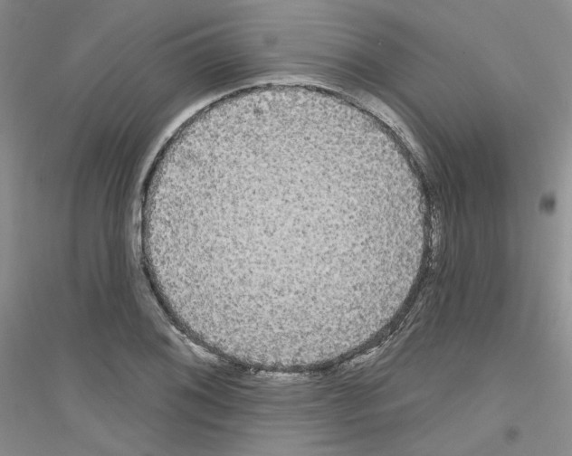 X0000116851076201002021040