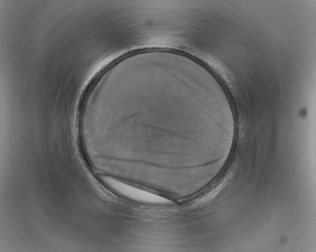 X0000116851077201002021040