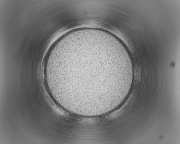 X0000116851078201002021040