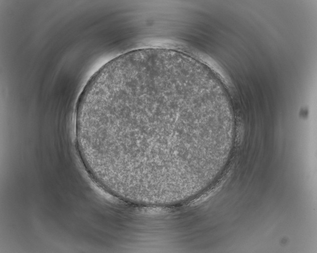 X0000116851079201002021040