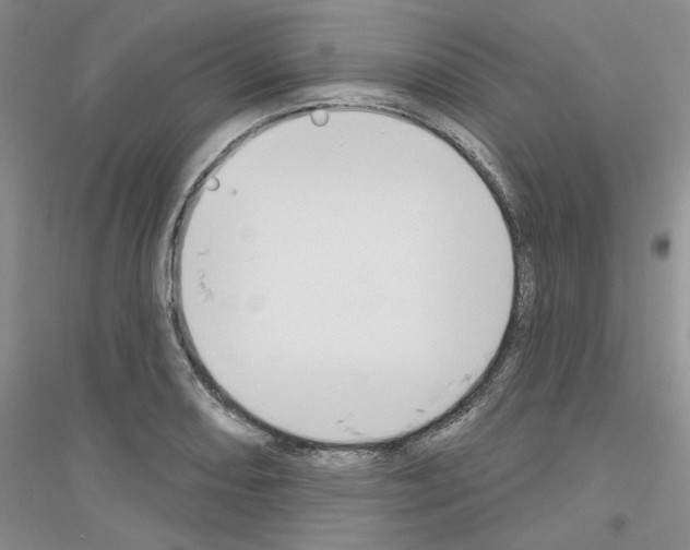 X0000116851082201002021040