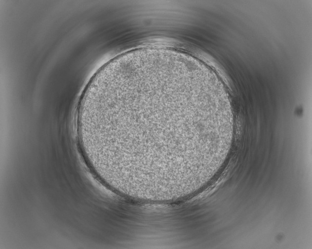 X0000116851083201002021040