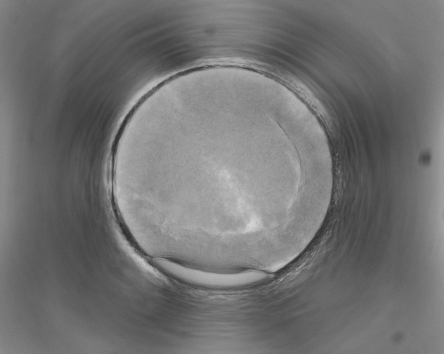 X0000116851084201002021040