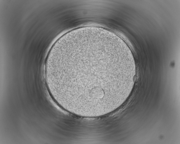 X0000116851092201002021040