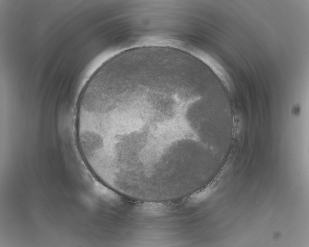 X0000116851094201002021040