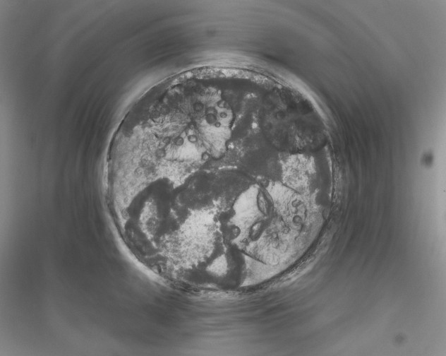 X0000116851095201002021040