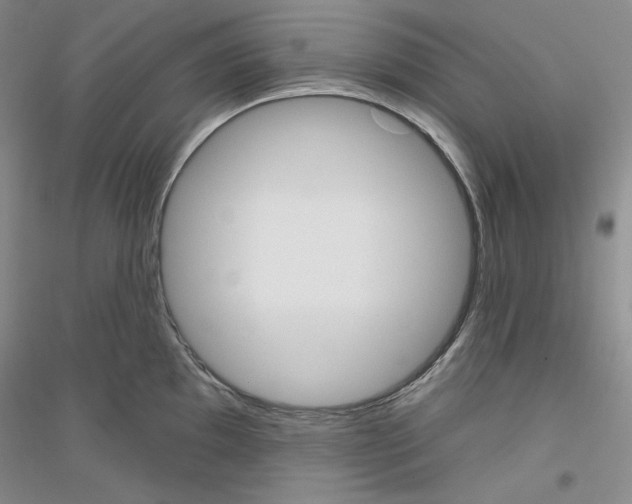X0000116851097201002021040