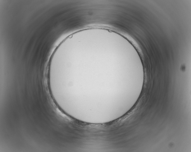 X0000116851102201002021040