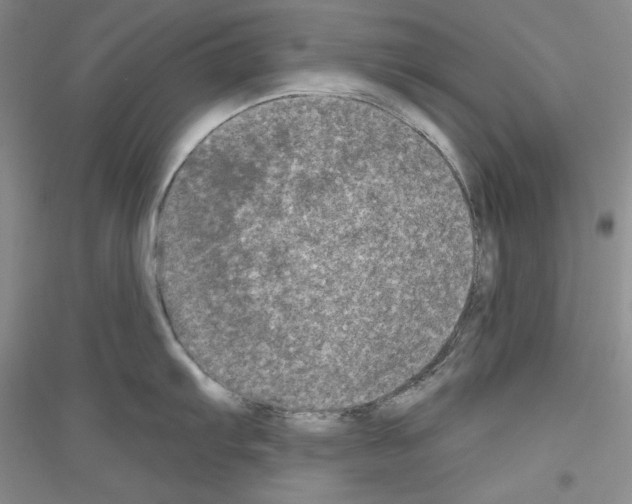 X0000116851103201002021040