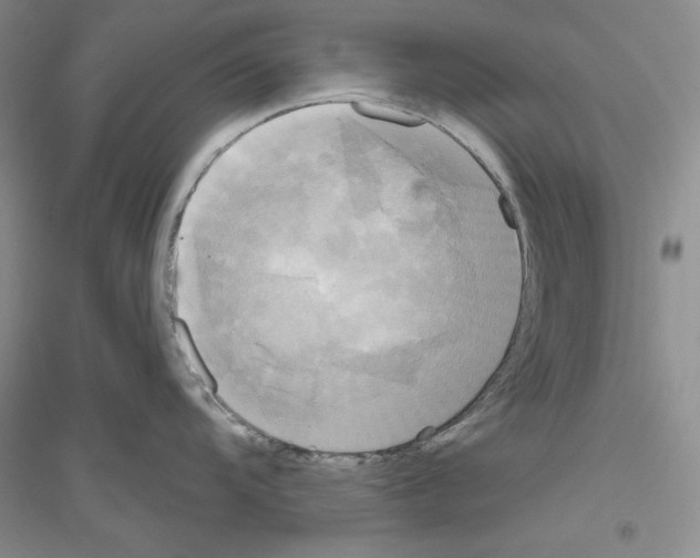 X0000116851104201002021040