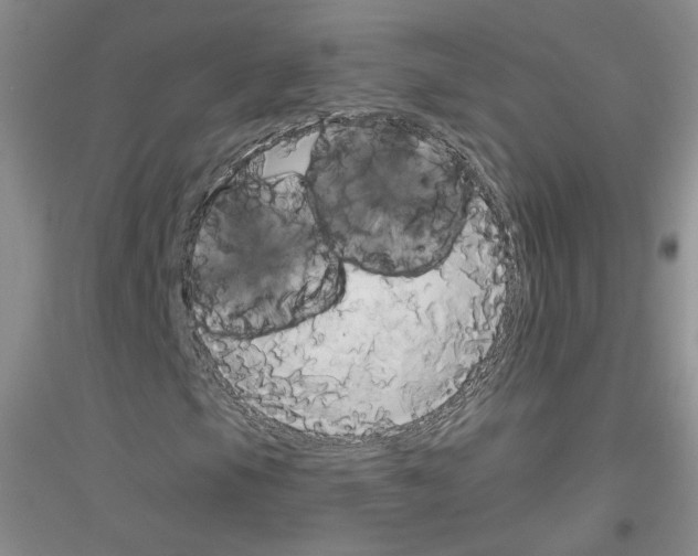 X0000116851105201002021039