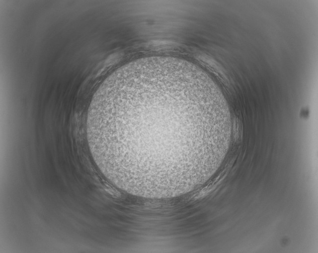 X0000116851107201002021039