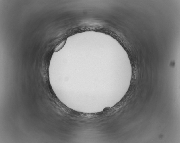 X0000116851109201002021039