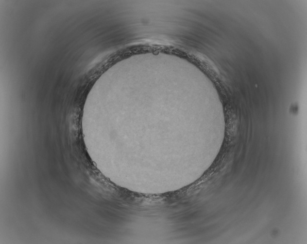X0000116851110201002021039