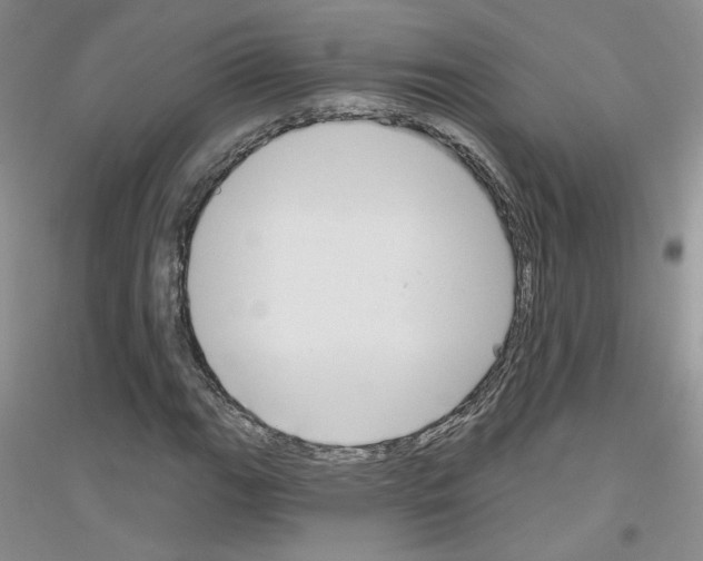 X0000116851111201002021039