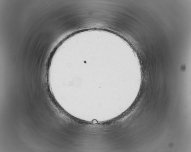 X0000116851118201002021039