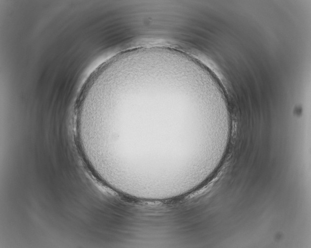 X0000116851119201002021039