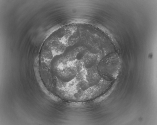 X0000116851121201002021039