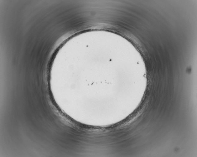 X0000116851122201002021039