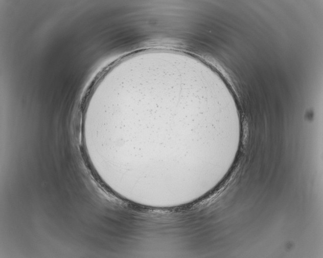 X0000116851123201002021039