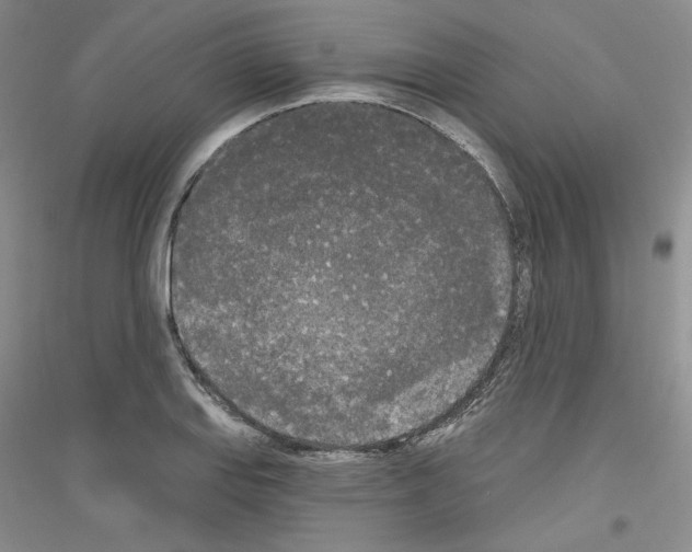 X0000116851127201002021040