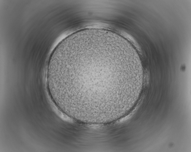 X0000116851130201002021040