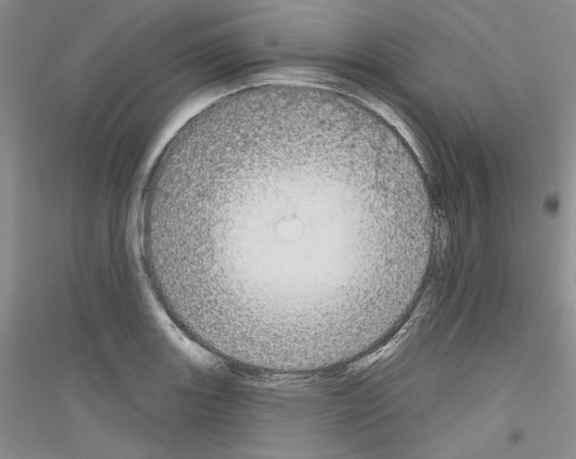 X0000116851131201002021040