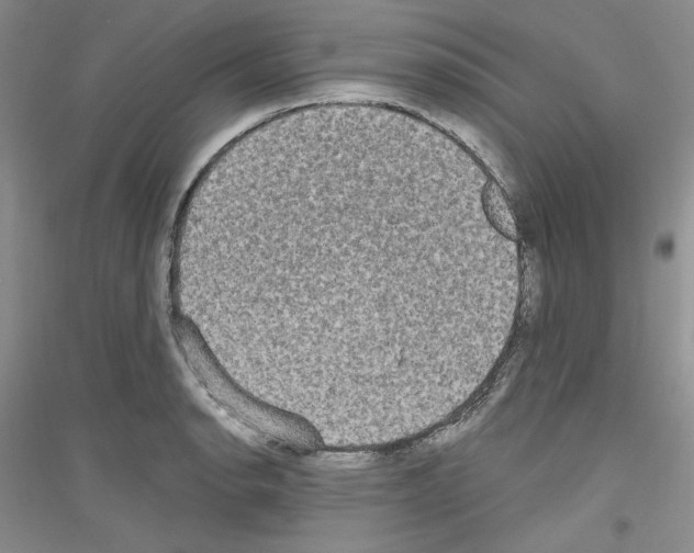 X0000116851134201002021040
