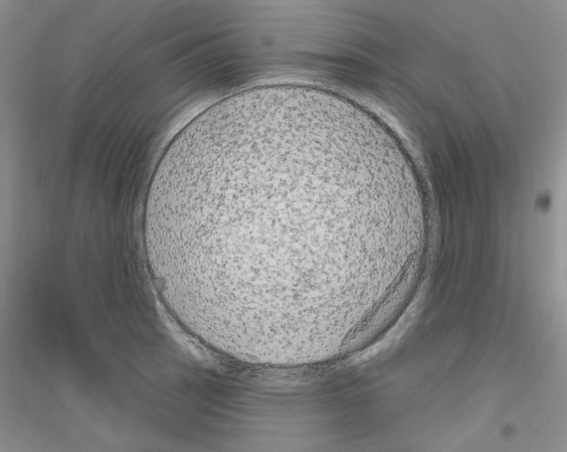 X0000116851137201002021040