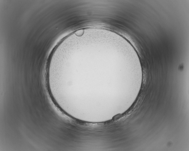 X0000116851139201002021040