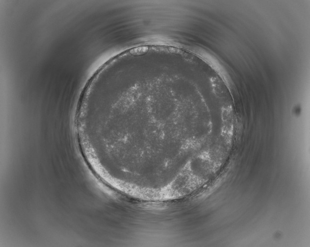 X0000116851141201002021040